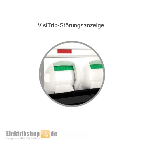 Schneider Electric A9F03110 1B10 LS-Schalter B 10A