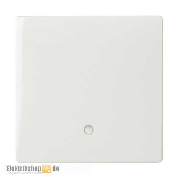 Tastfläche mit Kalotte Tastdimmer JOY reinweiß 363344 ELSO