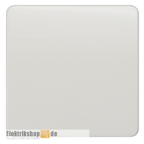 Wippe neutral Delta profil titanweiß 5TG7801 Siemens