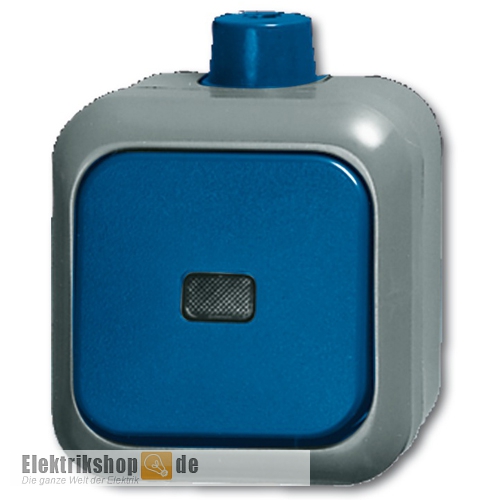 Busch-Jaeger Wechselschalter 2601/6 WDI IP66 grau/blau Installationsschalter