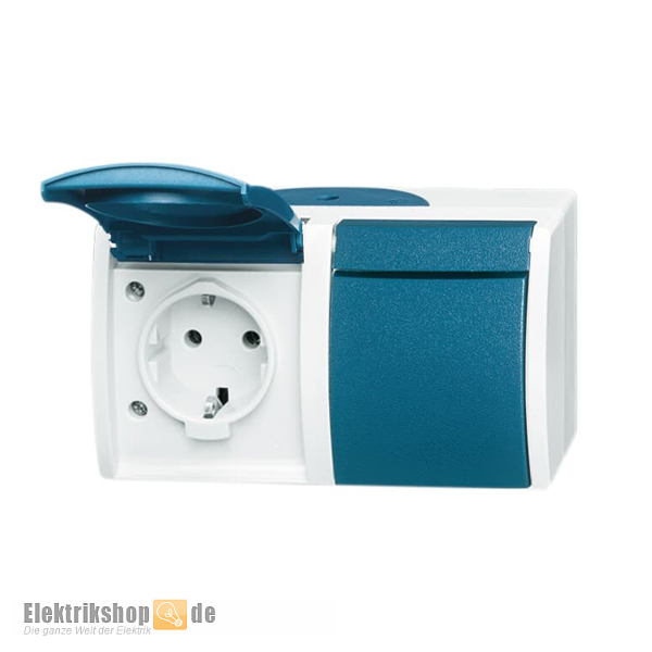 Steckdose 2fach waagerecht Ocean 20/2 EW-53 Busch Jaeger