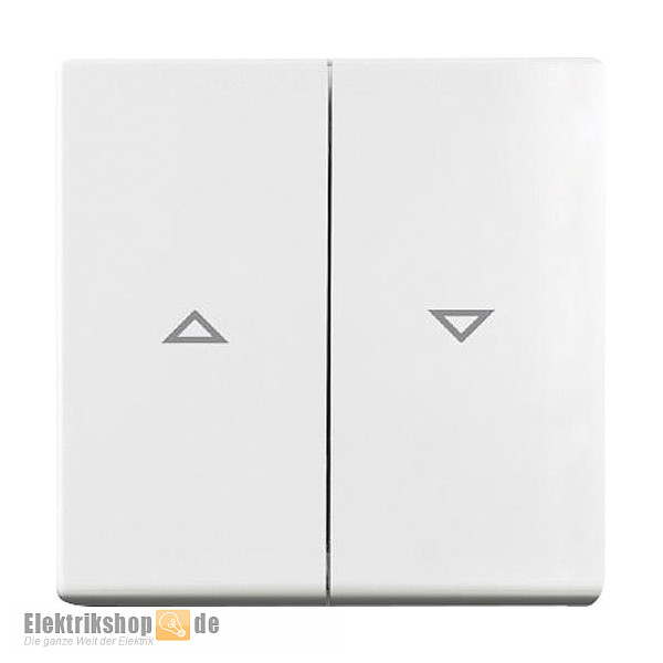 K55 BBwhite Wippe Jalousieschalter/-taster reinweiß K552504/04BB KLEIN