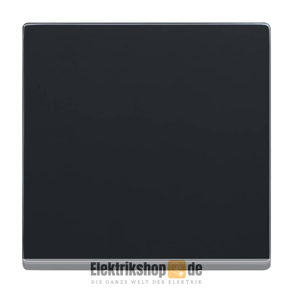 Busch Future Linear anthrazit 1-Familienhaus Paket