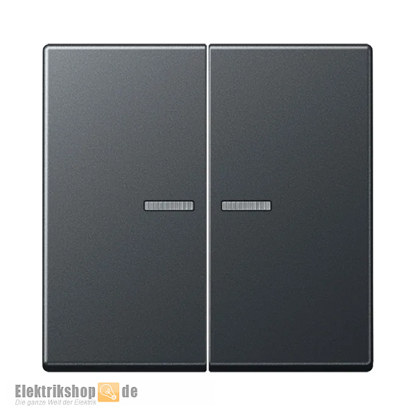 Wippe Serie mit Lichtleiter anthrazit matt A 595 BF KO5 ANM Jung