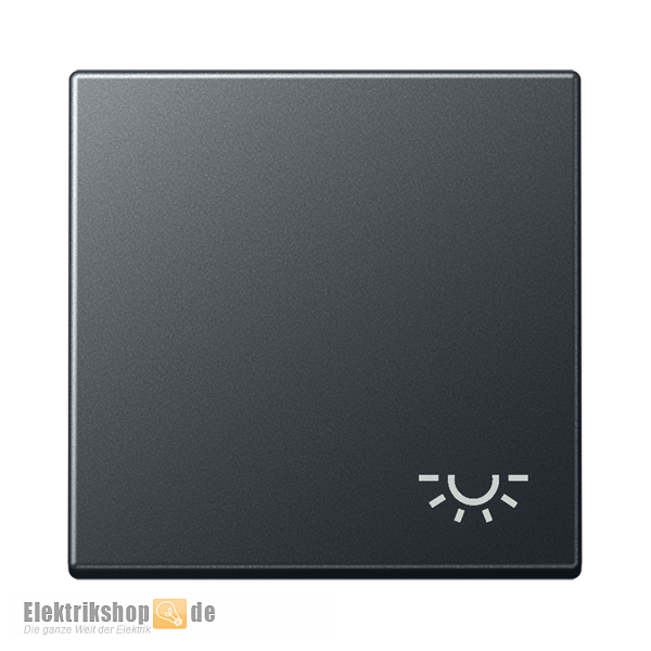 Wippe Symbol Licht anthrazit matt A 590 BF L ANM Jung