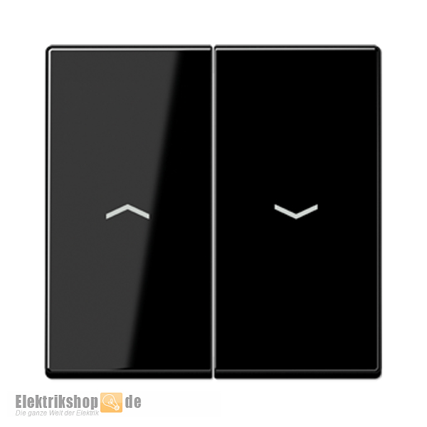 Wippe Jalousie mit Pfeilsymbol schwarz glänzend A 595 P SW Jung