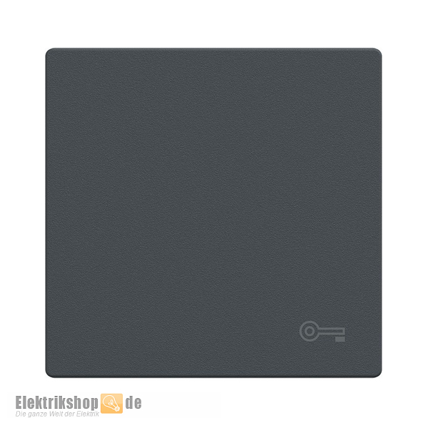 Wippe mit Kennzeichnung Schlüssel anthrazit MEG3303-0414 Merten