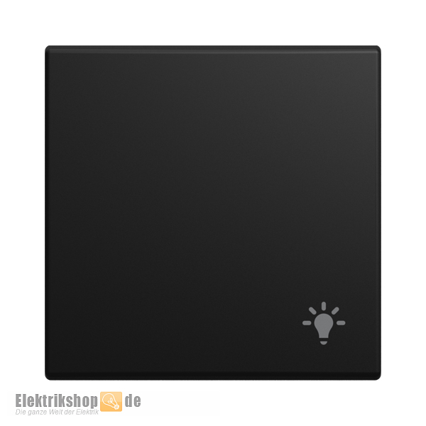 Balance SI Wippe mit Symbol Licht 2520 LI-915 Busch-Jaeger