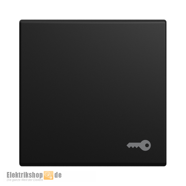 Balance SI Wippe mit Symbol Schlüssel 2520 TR-915 Busch-Jaeger