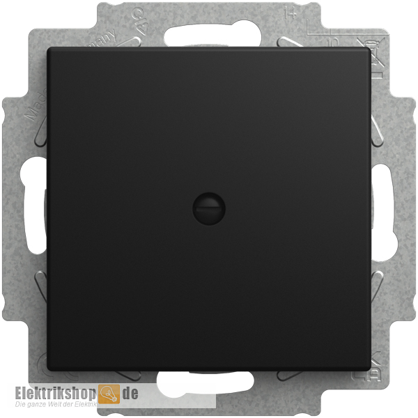 Balance SI Blindzentralscheibe schwarz matt 2538-915 Busch-Jaeger