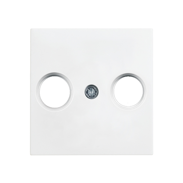 Karre Plus 55 Zentralscheibe Antennendose 2-Loch reinwei&szlig; Panasonic