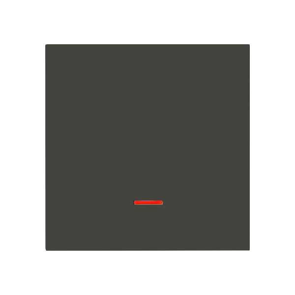 Karre Plus 55 Wippe Kontroll-Aus anthrazit Panasonic