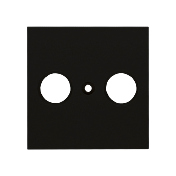 Karre Plus 55 Zentralscheibe Antennendose 2-Loch schwarz Panasonic