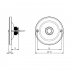 UP-Taster Kontaktschale Messing weiß KS 2074 WS Grothe